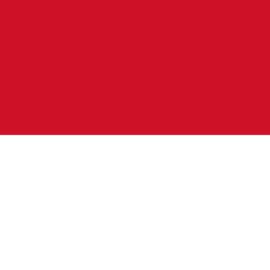Indonesia Visa Services